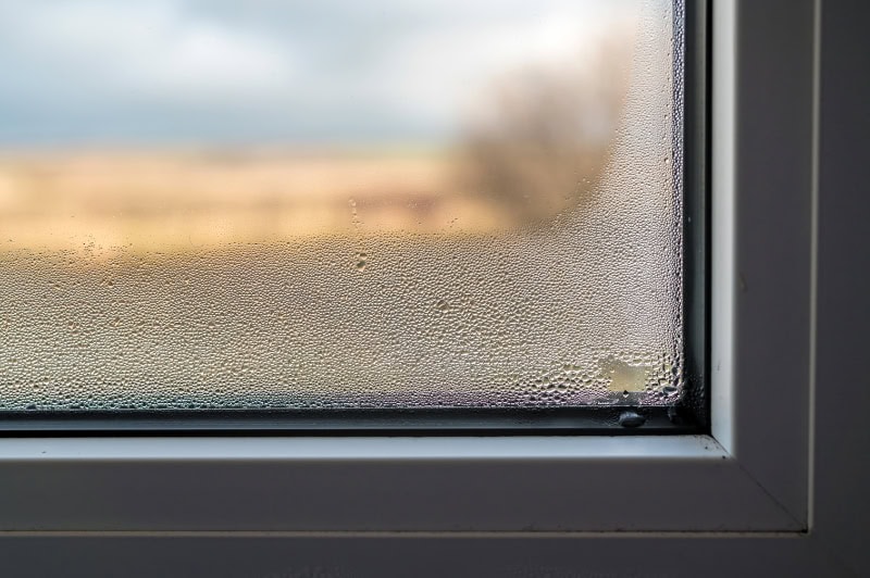 Mold formation through fogged window pane due to poor ventilation of the room.