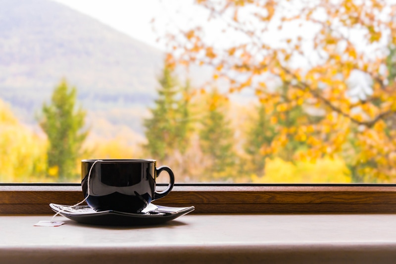 a cup of tea in front of a window with autumn view, why do i need a humidifier in the fall?