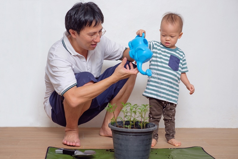 father and son watering plants, HVAC Ways to Go Green in Your Home