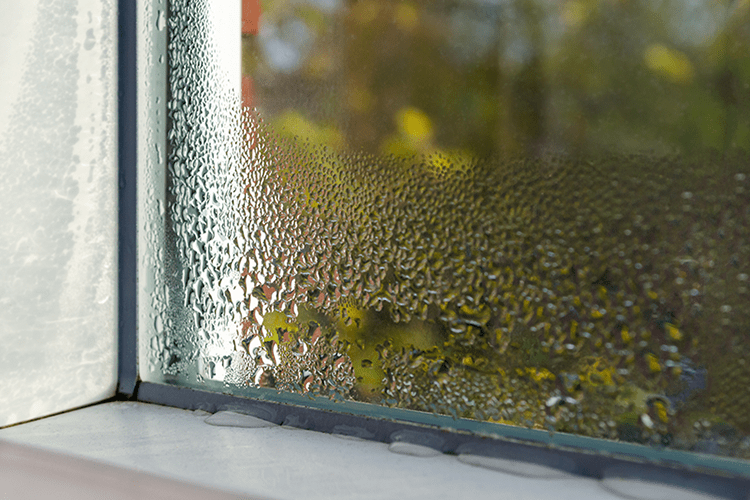 Image of water build up on a window due to humidity. Why You Need Whole-House Humidity Control.